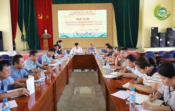 Phú Cát triển khai tiêm phòng vắc xin cho đàn gia súc, gia cầm đợt 1 năm 2026- Ảnh 1.