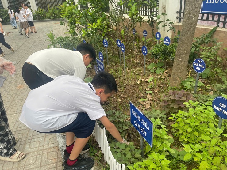 TRƯỜNG TIỂU HỌC TRẦN PHÚ TỔ CHỨC LỄ PHÁT ĐỘNG, HƯỞNG ỨNG PHONG TRÀO THI ĐUA “SÁNG – XANH – SẠCH – ĐẸP” NĂM 2026- Ảnh 5.