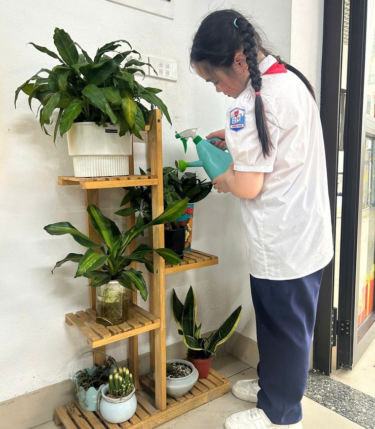 TRƯỜNG TIỂU HỌC TRẦN PHÚ TỔ CHỨC LỄ PHÁT ĐỘNG, HƯỞNG ỨNG PHONG TRÀO THI ĐUA “SÁNG – XANH – SẠCH – ĐẸP” NĂM 2026- Ảnh 6.