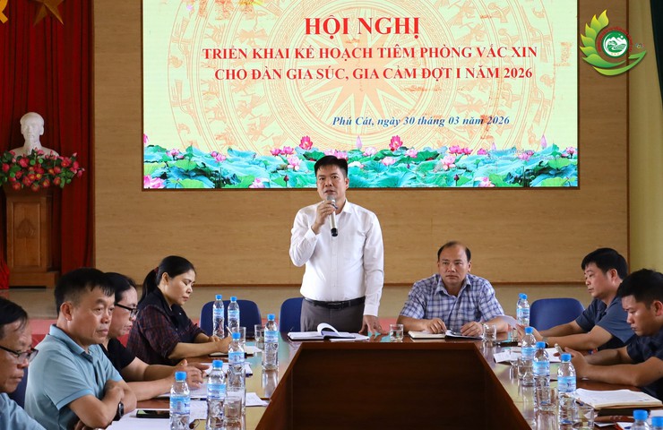 Phú Cát triển khai tiêm phòng vắc xin cho đàn gia súc, gia cầm đợt 1 năm 2026- Ảnh 7.