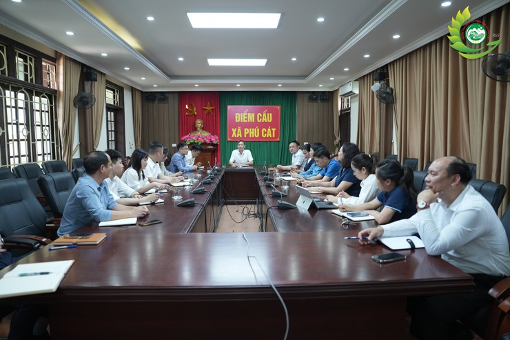 Phú Cát: Thống nhất phương pháp tập huấn các nền tảng số trong công tác Đảng tại các chi bộ khối nông thôn- Ảnh 1.