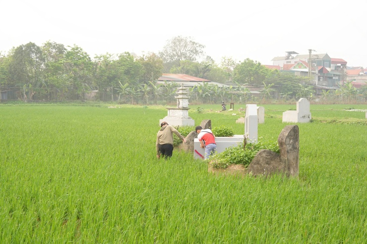 Thanh Oai đẩy nhanh tiến độ kiểm đếm mồ mả phục vụ dự án Khu đô thị Thể thao Olympic- Ảnh 6.