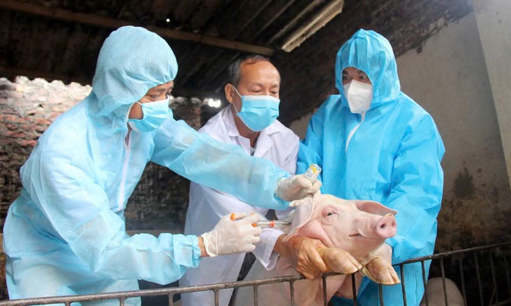 Xã Tam Hưng triển khai tiêm phòng vacxin cho đàn gia súc, gia cầm đợt 1 năm 2026- Ảnh 1.