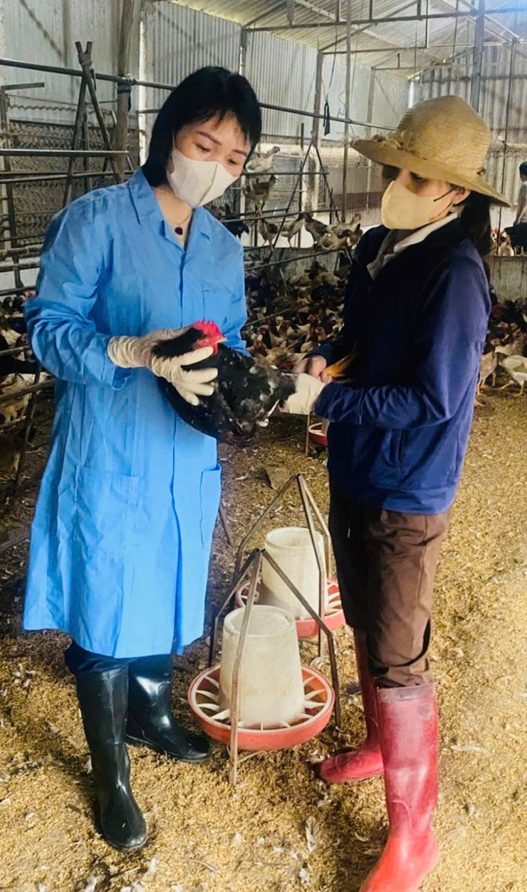 Xã Phúc Thọ chủ động tiêm phòng vắc xin, bảo vệ đàn vật nuôi- Ảnh 3.