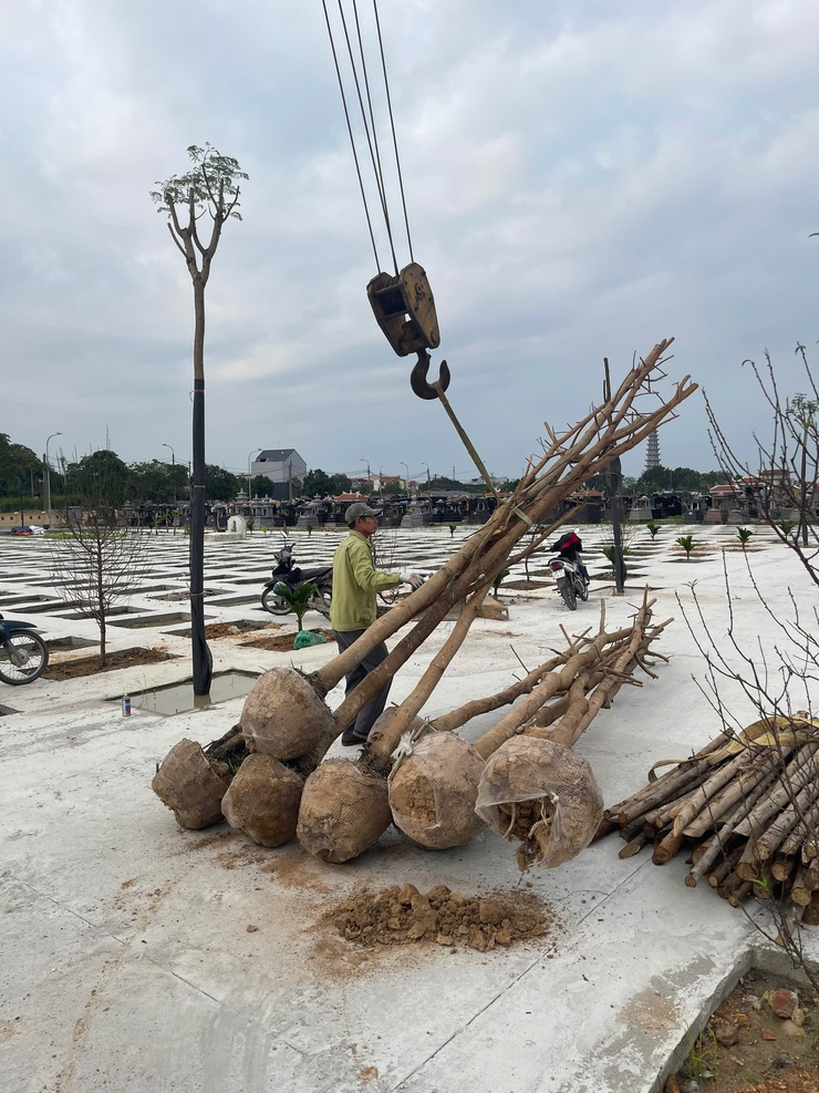 THÔN HÀ HƯƠNG HƯỞNG ỨNG LỄ PHÁT ĐỘNG “TẾT TRỒNG CÂY ĐỜI ĐỜI NHỚ ƠN BÁC HỒ” XUÂN BÍNH NGỌ 2026- Ảnh 2.