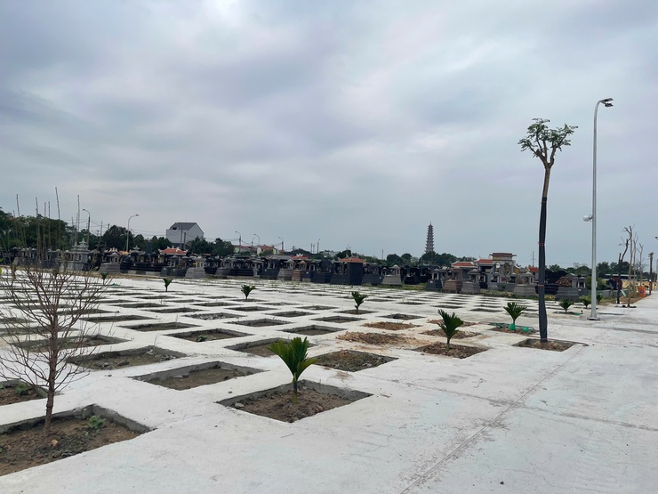 THÔN HÀ HƯƠNG HƯỞNG ỨNG LỄ PHÁT ĐỘNG “TẾT TRỒNG CÂY ĐỜI ĐỜI NHỚ ƠN BÁC HỒ” XUÂN BÍNH NGỌ 2026- Ảnh 3.