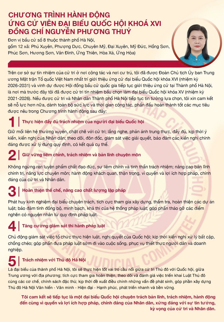 Ứng cử viên Nguyễn Phương Thủy – Tận tâm, bản lĩnh, hành động vì Nhân dân- Ảnh 3.