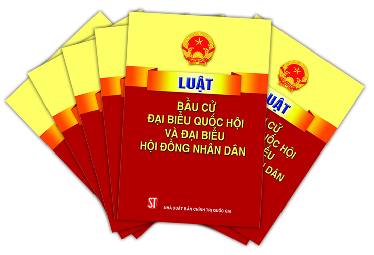 Luật Bầu cử Đại biểu Quốc hội và Đại biểu Hội đồng Nhân dân- Ảnh 2.