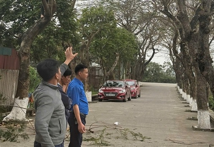 Kiểm tra rà soát hệ thống cây xanh, cắt tỉa, phòng chống gãy đổ để đảm bảo an toàn cho người và tài sản trước mùa mưa bão năm 2026- Ảnh 1.