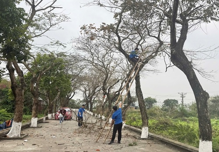 Kiểm tra rà soát hệ thống cây xanh, cắt tỉa, phòng chống gãy đổ để đảm bảo an toàn cho người và tài sản trước mùa mưa bão năm 2026- Ảnh 2.