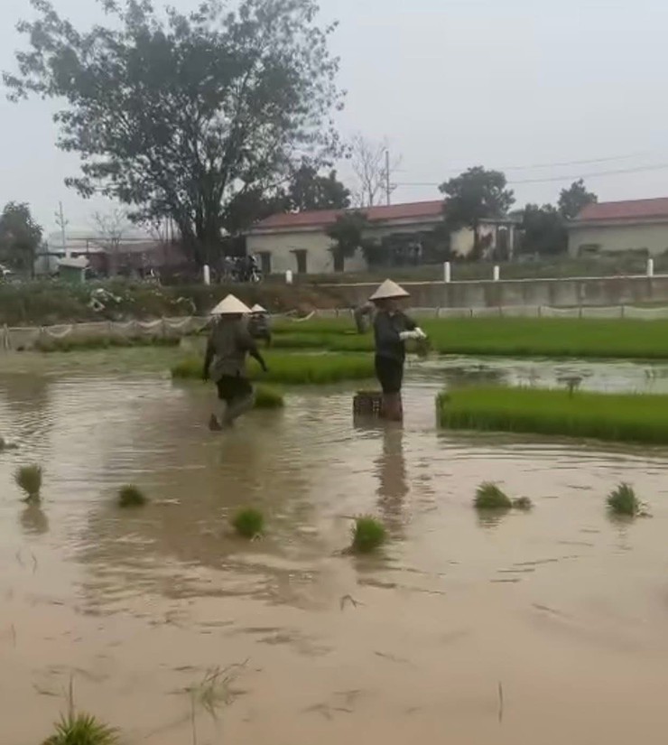 CÂU LẠC BỘ THIỆN NGUYỆN LÀNG THƯ TRAI – LAN TOẢ NHỮNG NGHĨA CỬ CAO ĐẸP TRONG CỘNG ĐỒNG- Ảnh 2.