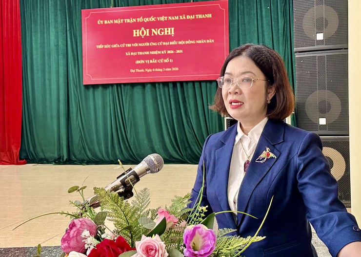 Hội nghị tiếp xúc giữa cử tri với người ứng cử đại biểu HĐND xã Đại Thanh khoá II tại đơn vị bầu cử số 1 gồm các thôn: Huỳnh Cung, Yên Ngưu, TT Phân lân 105, TT Pin, TT Yên Ngưu.- Ảnh 3.