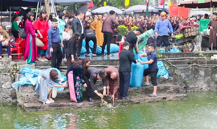 Thả cá chép tại hồ Long Trì – Hoạt động ý nghĩa góp phần lan tỏa thông điệp bảo vệ môi trường tại Chùa Thầy- Ảnh 9.