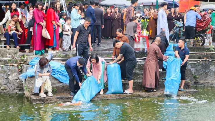 Thả cá chép tại hồ Long Trì – Hoạt động ý nghĩa góp phần lan tỏa thông điệp bảo vệ môi trường tại Chùa Thầy- Ảnh 10.