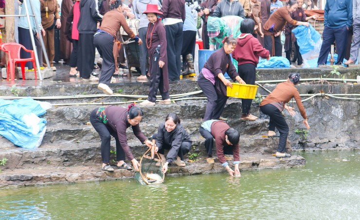 Thả cá chép tại hồ Long Trì – Hoạt động ý nghĩa góp phần lan tỏa thông điệp bảo vệ môi trường tại Chùa Thầy- Ảnh 11.