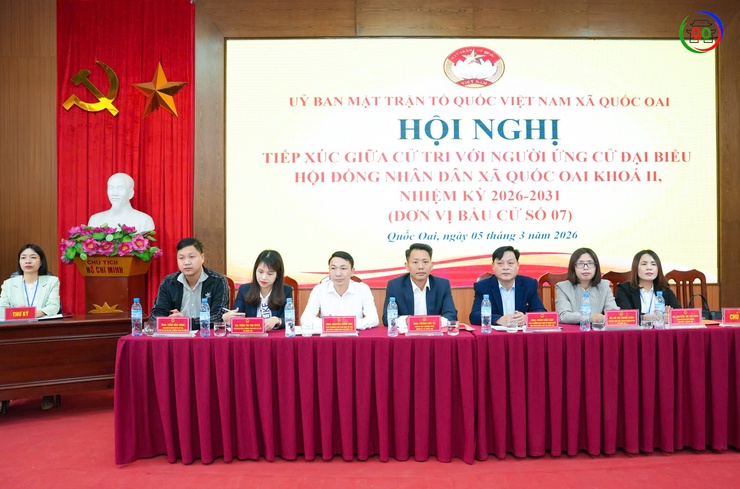 Quốc Oai sẵn sàng cho ngày hội lớn của toàn dân- Ảnh 19.