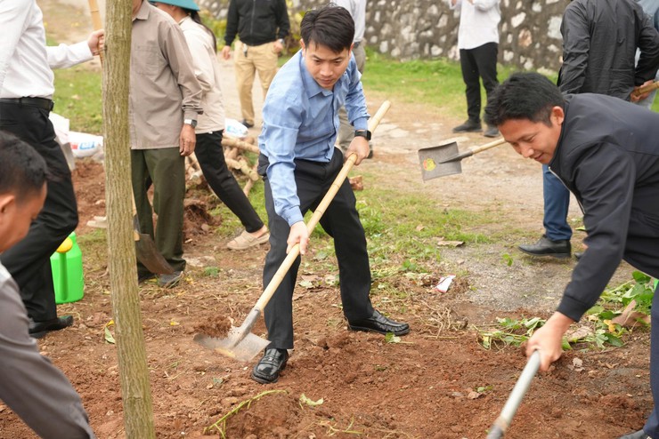 TRUNG TÂM DỊCH VỤ TỔNG HỢP XÃ HƯNG ĐẠO TỔ CHỨC HOẠT ĐỘNG TRỒNG CÂY TẠI DI TÍCH QUỐC GIA ĐẶC BIỆT ĐÌNH SO- Ảnh 4.