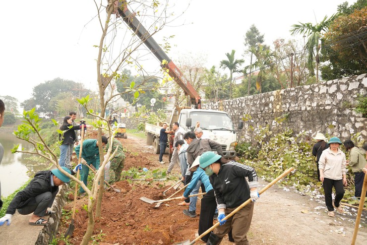 TRUNG TÂM DỊCH VỤ TỔNG HỢP XÃ HƯNG ĐẠO TỔ CHỨC HOẠT ĐỘNG TRỒNG CÂY TẠI DI TÍCH QUỐC GIA ĐẶC BIỆT ĐÌNH SO- Ảnh 5.