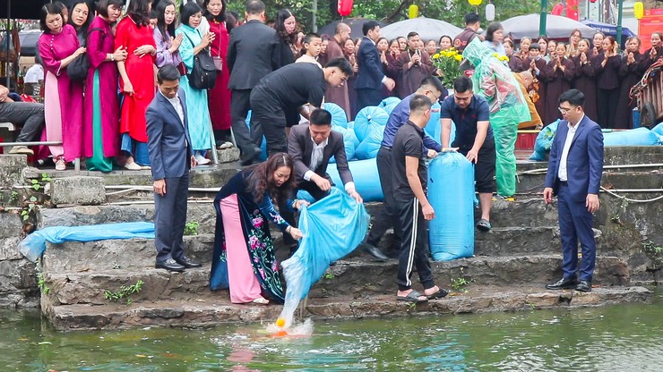 Thả cá chép tại hồ Long Trì – Hoạt động ý nghĩa góp phần lan tỏa thông điệp bảo vệ môi trường tại Chùa Thầy- Ảnh 6.