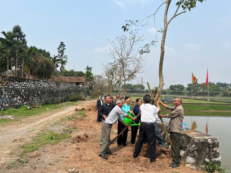 TRUNG TÂM DỊCH VỤ TỔNG HỢP XÃ HƯNG ĐẠO TỔ CHỨC HOẠT ĐỘNG TRỒNG CÂY TẠI DI TÍCH QUỐC GIA ĐẶC BIỆT ĐÌNH SO- Ảnh 6.