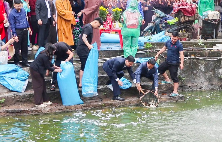 Thả cá chép tại hồ Long Trì – Hoạt động ý nghĩa góp phần lan tỏa thông điệp bảo vệ môi trường tại Chùa Thầy- Ảnh 7.