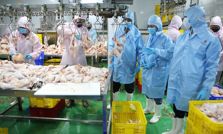 Tuyên truyền quản lý giết mổ vận chuyển và kinh doanh động vật, sản phẩm động vật- Ảnh 1.