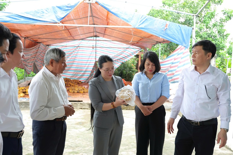 Chủ tịch Hội Nông dân thành phố Hà Nội Phạm Hải Hoa về làm việc với Hội Nông dân xã Phú Nghĩa- Ảnh 4.