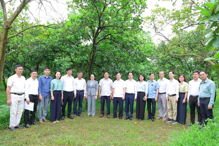 Chủ tịch Hội Nông dân thành phố Hà Nội Phạm Hải Hoa về làm việc với Hội Nông dân xã Phú Nghĩa- Ảnh 5.