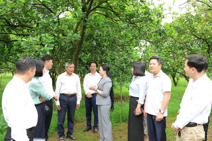 Chủ tịch Hội Nông dân thành phố Hà Nội Phạm Hải Hoa về làm việc với Hội Nông dân xã Phú Nghĩa- Ảnh 2.