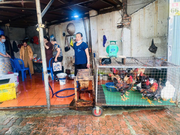 THẠCH THẤT: KIỂM TRA, TUYÊN TRUYỀN ĐẢM BẢO AN TOÀN THỰC PHẨM TẠI CÁC CƠ SỞ GIẾT MỔ NHỎ LẺ- Ảnh 3.