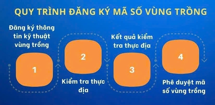 HƯỚNG DẪN QUY ĐỊNH VỀ MÃ SỐ VÙNG TRỒNG, MÃ SỐ CƠ SỞ ĐÓNG GÓI THEO NGHỊ ĐỊNH 38/2026/NĐ-CP- Ảnh 1.