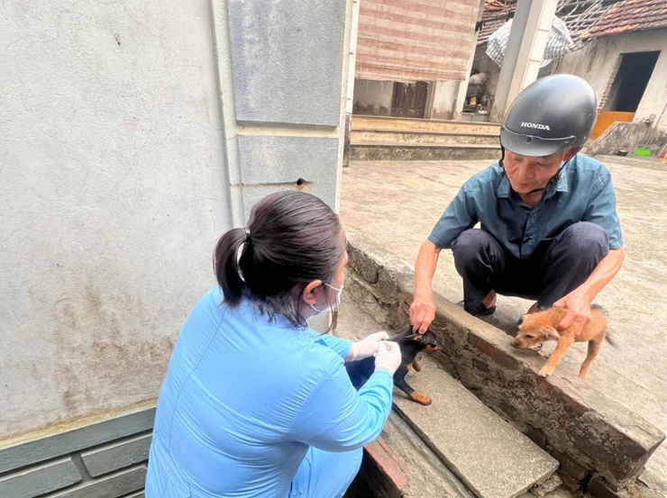 Chương Mỹ đẩy nhanh tiêm phòng vắc xin cho đàn gia súc, gia cầm- Ảnh 4.
