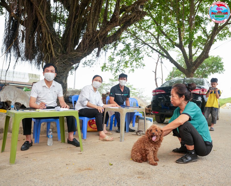 XÃ HƯNG ĐẠO TỔ CHỨC TIÊM PHÒNG VẮC XIN DẠI CHO CHÓ, MÈO- Ảnh 1.