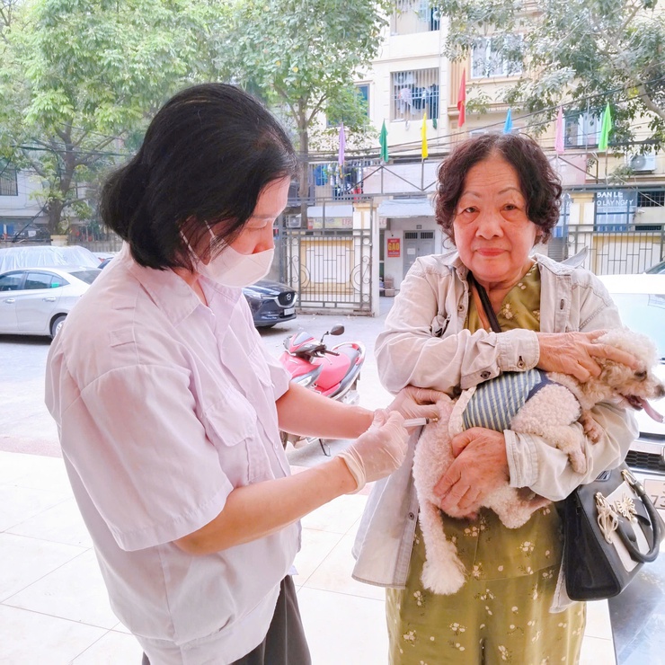 Thanh Liệt: Đẩy mạnh tiêm phòng dại, nâng cao ý thức người dân trong quản lý vật nuôi- Ảnh 3.