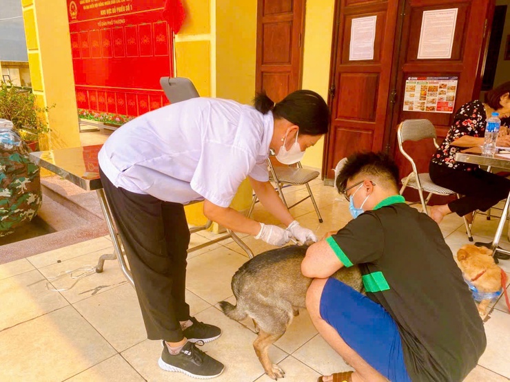 Thanh Liệt: Đẩy mạnh tiêm phòng dại, nâng cao ý thức người dân trong quản lý vật nuôi- Ảnh 4.