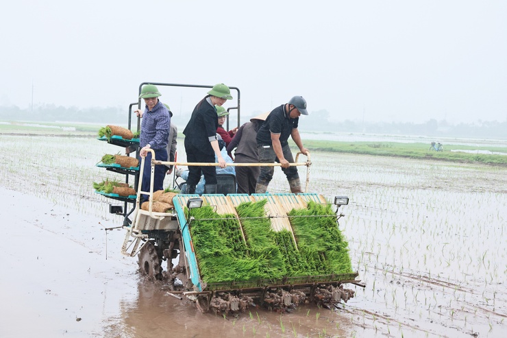 Kỷ niệm Ngày Hợp tác xã Việt Nam 11/4: Kinh tế tập thể ở Quảng Bị khẳng định vai trò động lực phát triển địa phương- Ảnh 2.