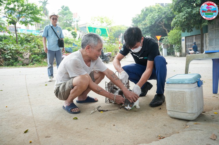 XÃ HƯNG ĐẠO TỔ CHỨC TIÊM PHÒNG VẮC XIN DẠI CHO CHÓ, MÈO- Ảnh 4.