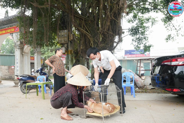 XÃ HƯNG ĐẠO TỔ CHỨC TIÊM PHÒNG VẮC XIN DẠI CHO CHÓ, MÈO- Ảnh 5.
