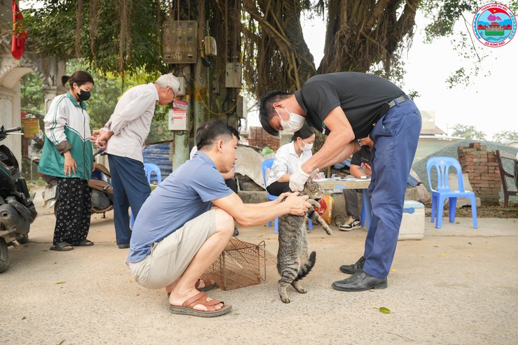 XÃ HƯNG ĐẠO TỔ CHỨC TIÊM PHÒNG VẮC XIN DẠI CHO CHÓ, MÈO- Ảnh 2.