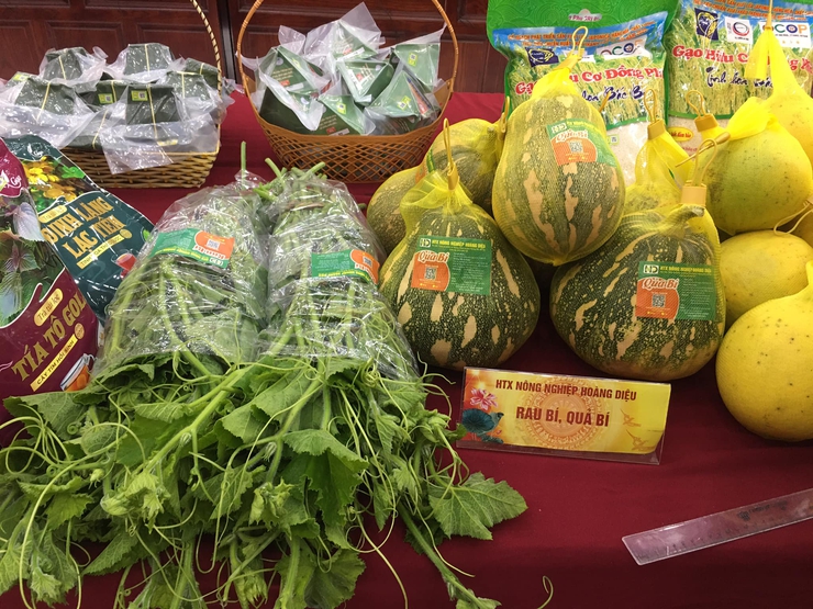 Kỷ niệm Ngày Hợp tác xã Việt Nam 11/4: Kinh tế tập thể ở Quảng Bị khẳng định vai trò động lực phát triển địa phương- Ảnh 7.