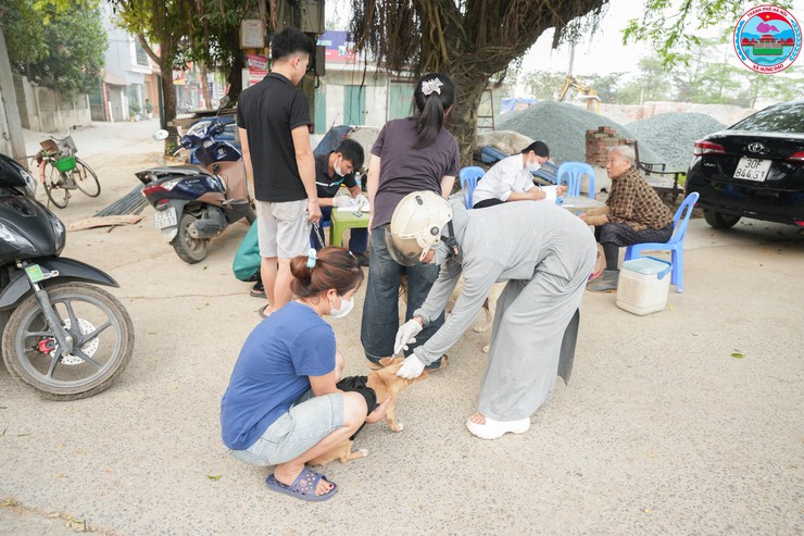 XÃ HƯNG ĐẠO TỔ CHỨC TIÊM PHÒNG VẮC XIN DẠI CHO CHÓ, MÈO- Ảnh 3.