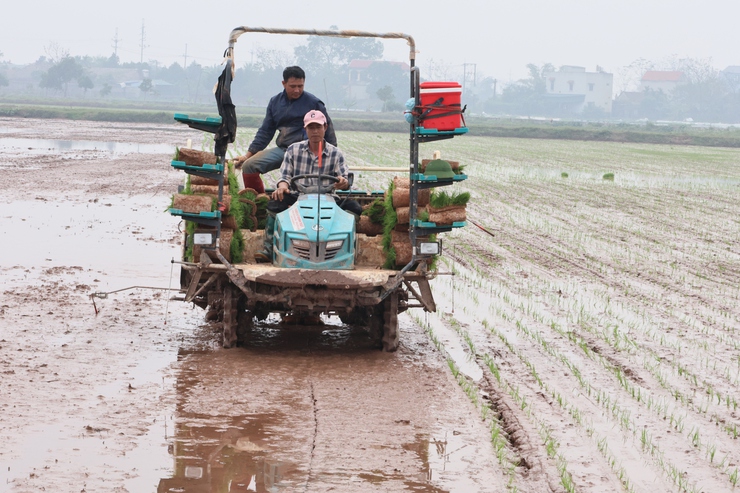 Kỷ niệm Ngày Hợp tác xã Việt Nam 11/4: Kinh tế tập thể ở Quảng Bị khẳng định vai trò động lực phát triển địa phương- Ảnh 3.