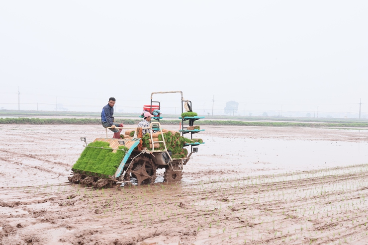 Kỷ niệm Ngày Hợp tác xã Việt Nam 11/4: Kinh tế tập thể ở Quảng Bị khẳng định vai trò động lực phát triển địa phương- Ảnh 4.