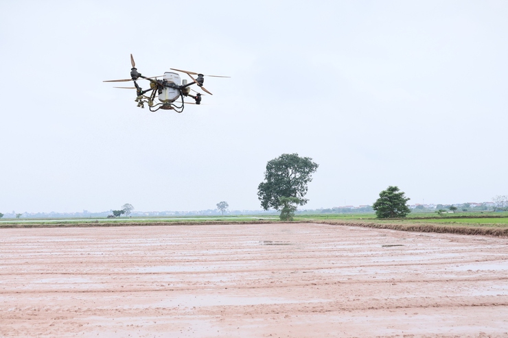 Kỷ niệm Ngày Hợp tác xã Việt Nam 11/4: Kinh tế tập thể ở Quảng Bị khẳng định vai trò động lực phát triển địa phương- Ảnh 6.