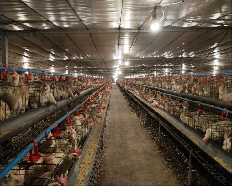 THÔN PHƯƠNG NHỊ XÃ DÂN HÒA VỚI VIỆC BÀN GIAO MẶT BẰNG DỰ ÁN XÂY DỰNG KHU ĐÔ THỊ THỂ THAO OLYMPIC- Ảnh 1.