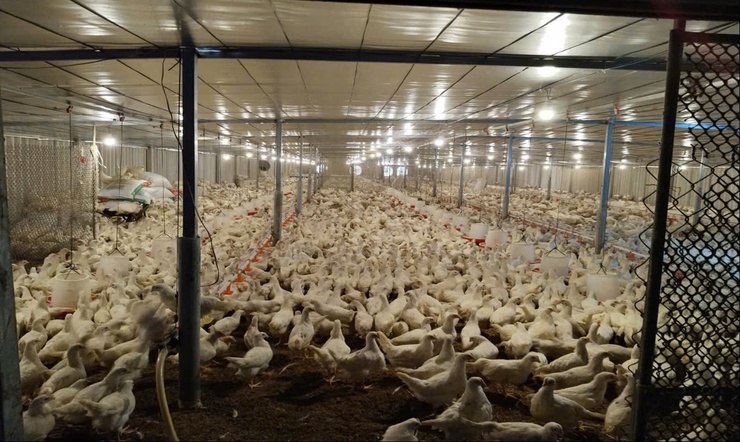 THÔN PHƯƠNG NHỊ XÃ DÂN HÒA VỚI VIỆC BÀN GIAO MẶT BẰNG DỰ ÁN XÂY DỰNG KHU ĐÔ THỊ THỂ THAO OLYMPIC- Ảnh 3.