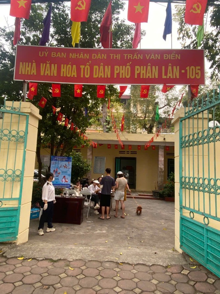 Trung tâm dịch vụ tổng hợp xã Đại Thanh triển khai tiêm phòng cho đàn chó mèo tại các thôn- Ảnh 11.