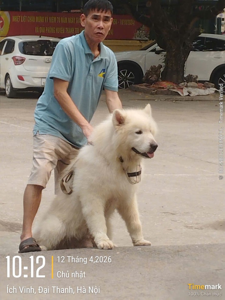 Trung tâm dịch vụ tổng hợp xã Đại Thanh triển khai tiêm phòng cho đàn chó mèo tại các thôn- Ảnh 2.