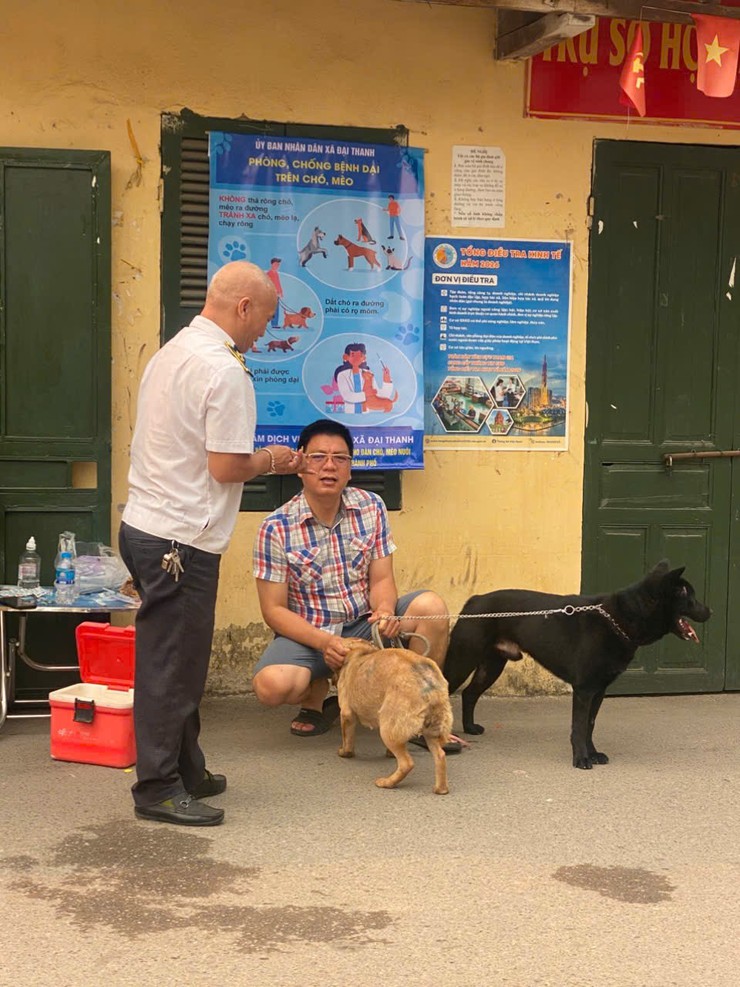 Trung tâm dịch vụ tổng hợp xã Đại Thanh triển khai tiêm phòng cho đàn chó mèo tại các thôn- Ảnh 8.