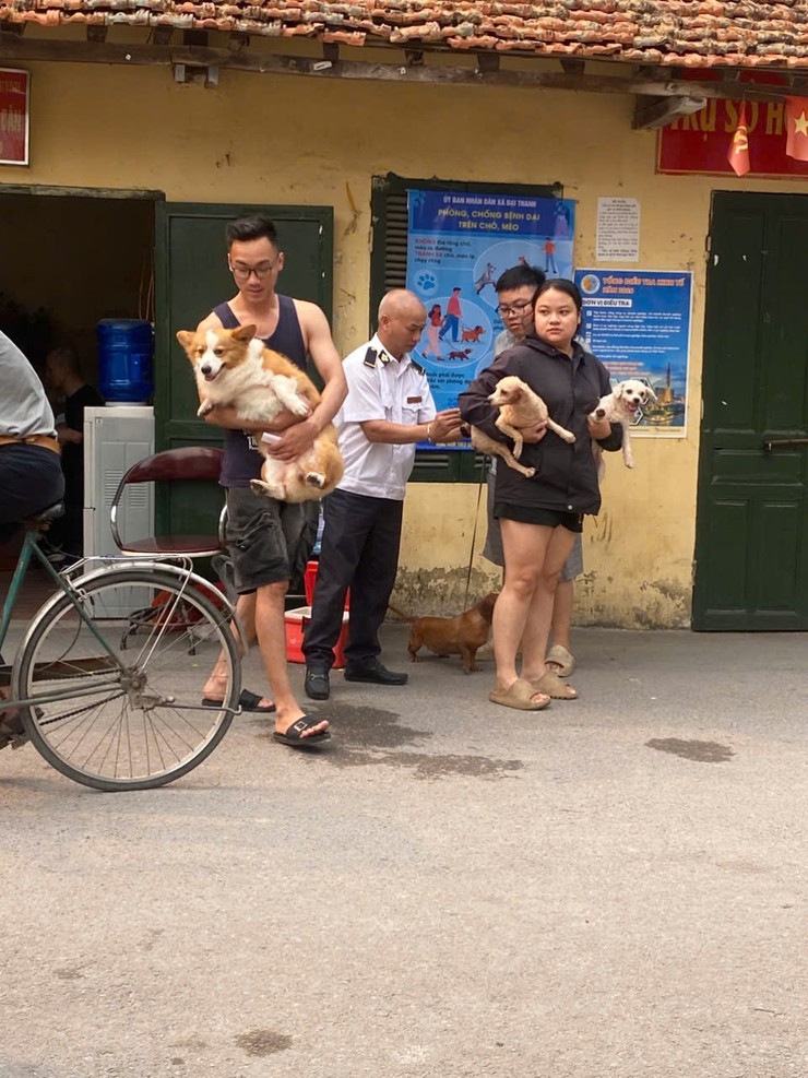 Trung tâm dịch vụ tổng hợp xã Đại Thanh triển khai tiêm phòng cho đàn chó mèo tại các thôn- Ảnh 3.
